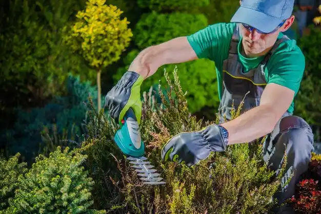 landscaping services Hollow Creek